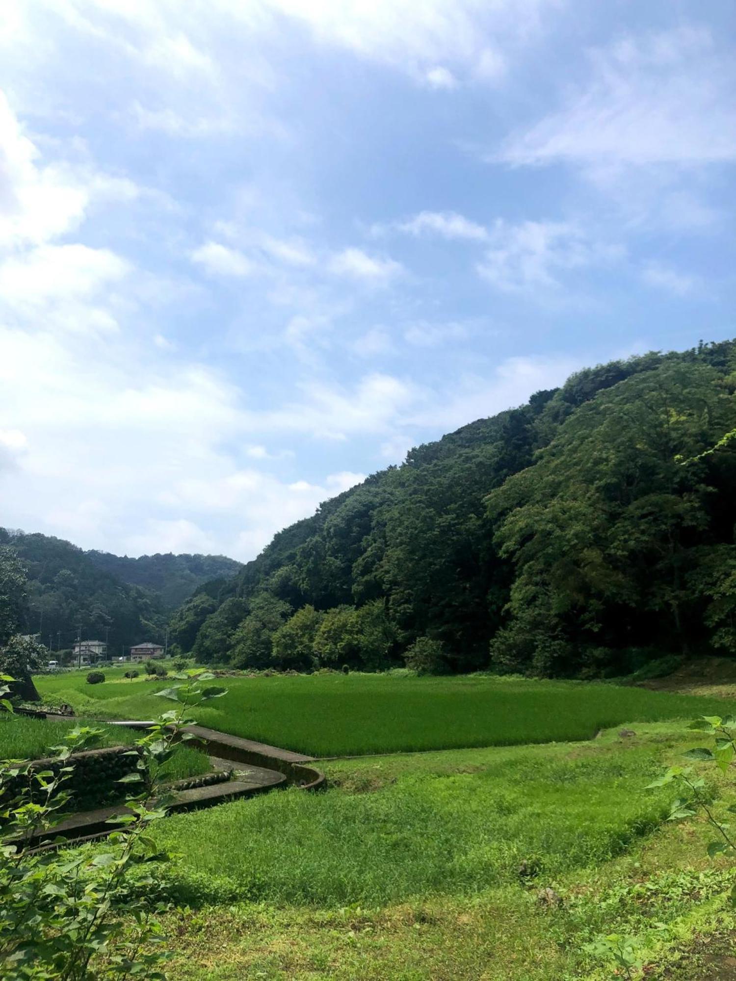 פוג'ינומיה Hoshiyama B Extra For Pets - Vacation Stay 13934V מראה חיצוני תמונה