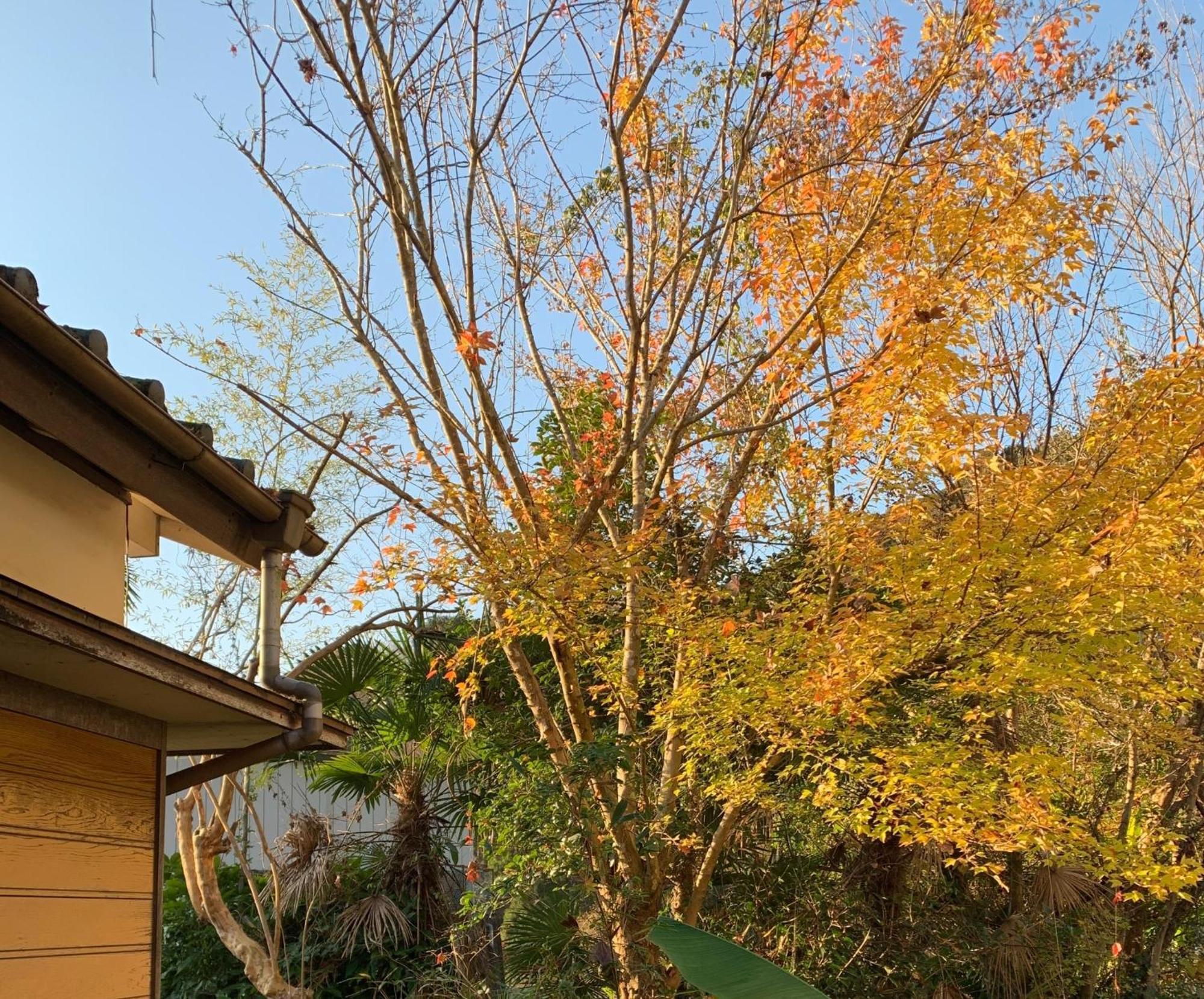 פוג'ינומיה Hoshiyama B Extra For Pets - Vacation Stay 13934V מראה חיצוני תמונה